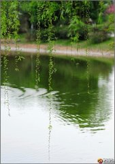 采桑子·晚来一霎风兼雨