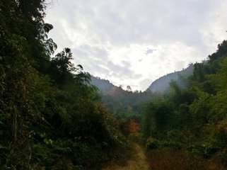 游九锁山·松间
