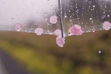 无闷 雨夜