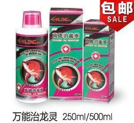 廷迈留少城和初入西龙道院诗来用韵答之