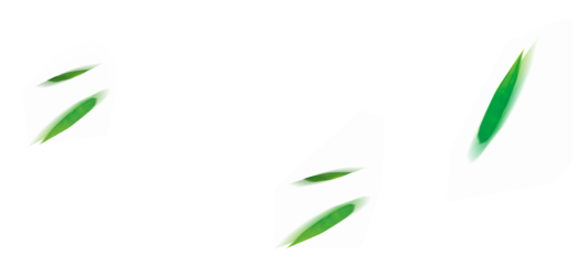齐天乐（萤）