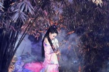 奉使契丹二十八首其二十四次韵张耒学士病中