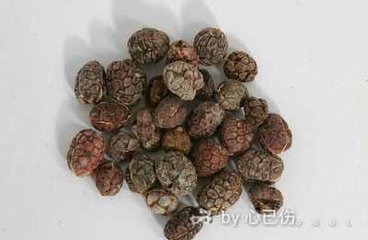 品令·困无力