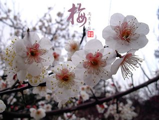 梦故人高季迪（二首）
