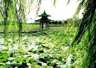 金明池·咏寒柳