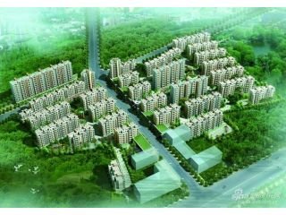 上林春令（鲁师文生辰）