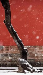 游禁苑幸临渭亭遇雪应制