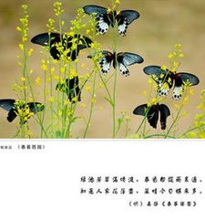 春暮西园