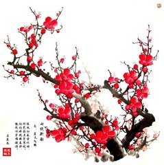 鹧鸪引 辛卯九月二十三日，靖伯仲先携酒相