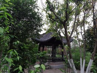【越调】小桃红_湖亭秋夜锦