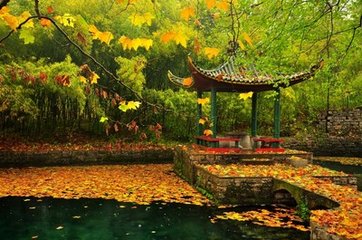 行药