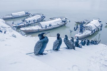 癸丑仲冬十日蚤晴从中使过莼湖未几风雪交往