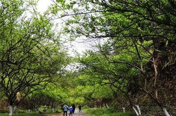 过新丰市怀古