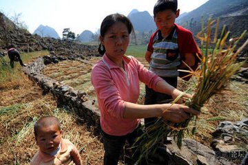 平生八见女而存者五人比又得女少稷作诗宽次