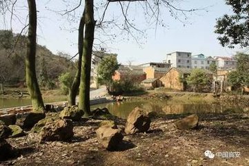 太常乐章三十首其十五南郊降神奏高安之曲