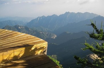 拟水西寺东峰亭九咏·垂涧藤