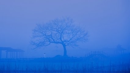 雪霁晨起