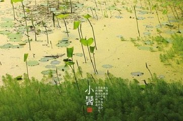 周五声调曲 征调曲 二